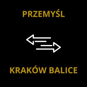 Transport VIP Przemyśl - Kraków Balice